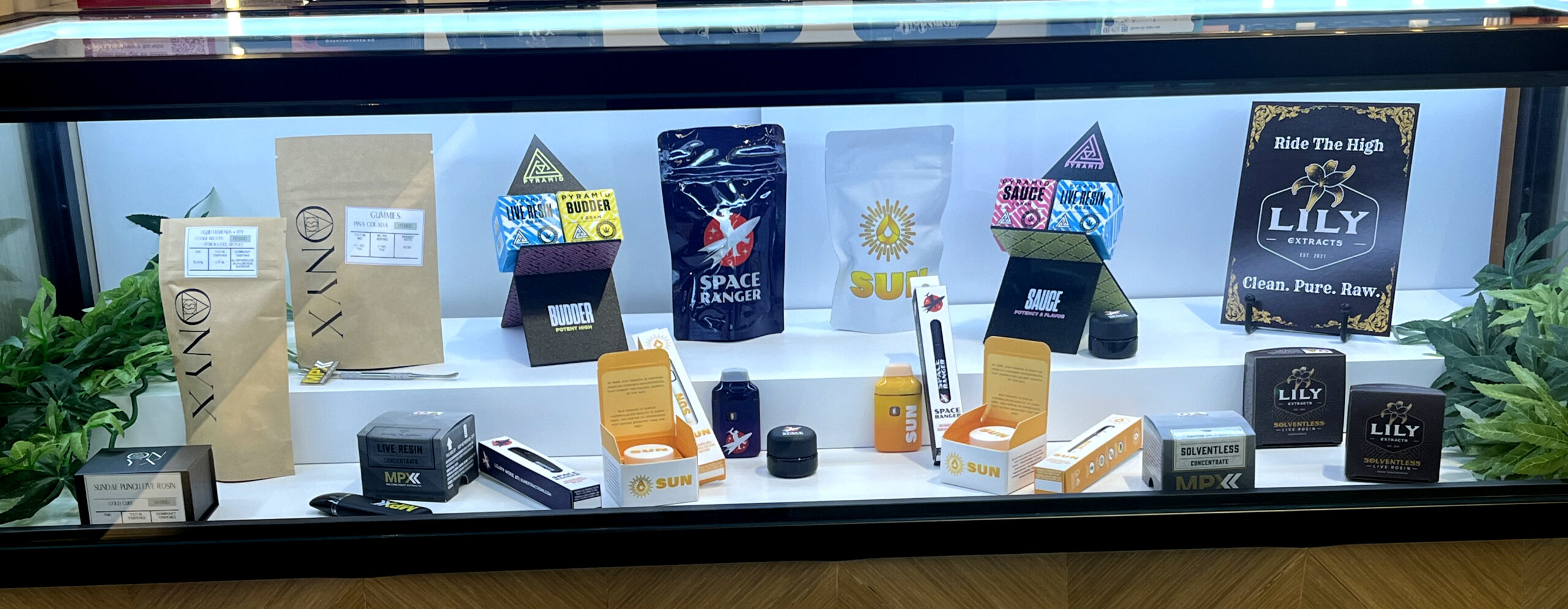 Lily Onyx Spaceranger Sun Display