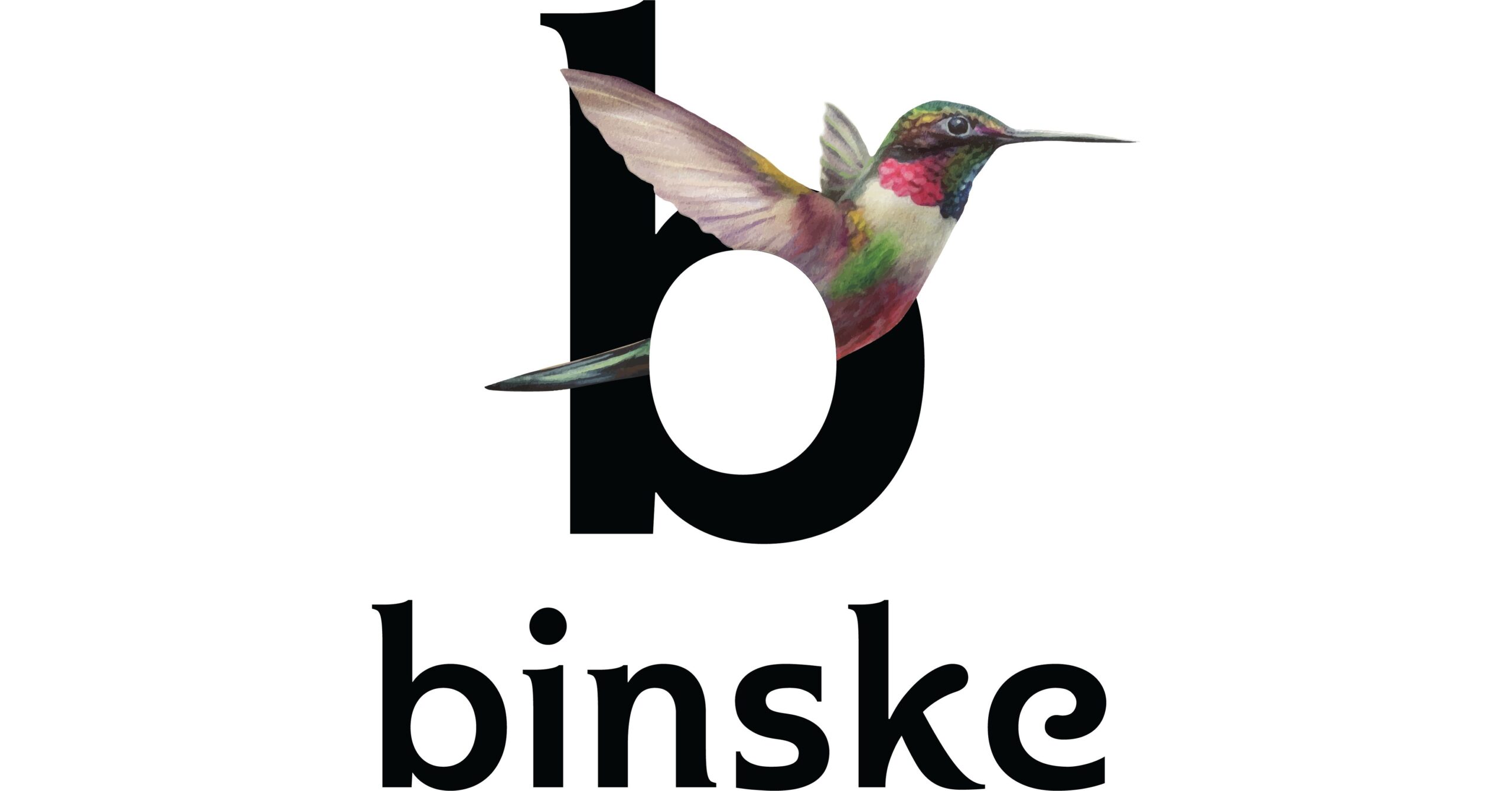 binske Logo