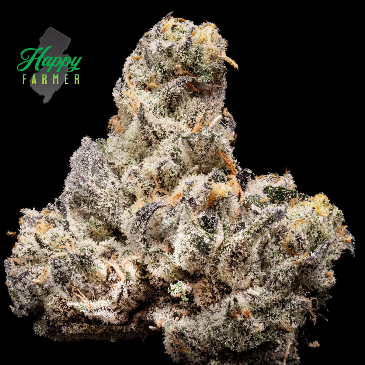 The Happy Farmer Blackout Bobby