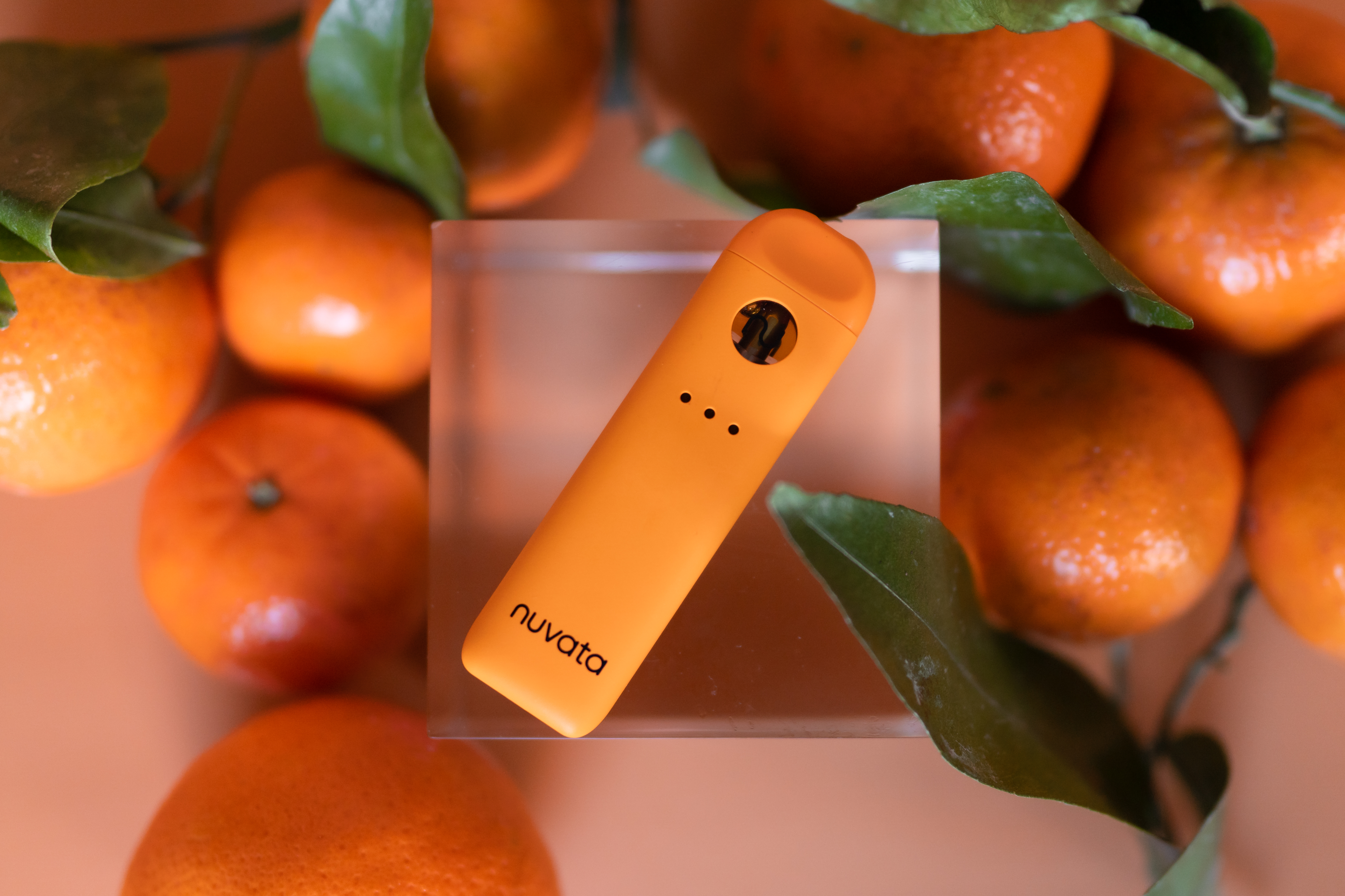 Nuvata Mind Dominant