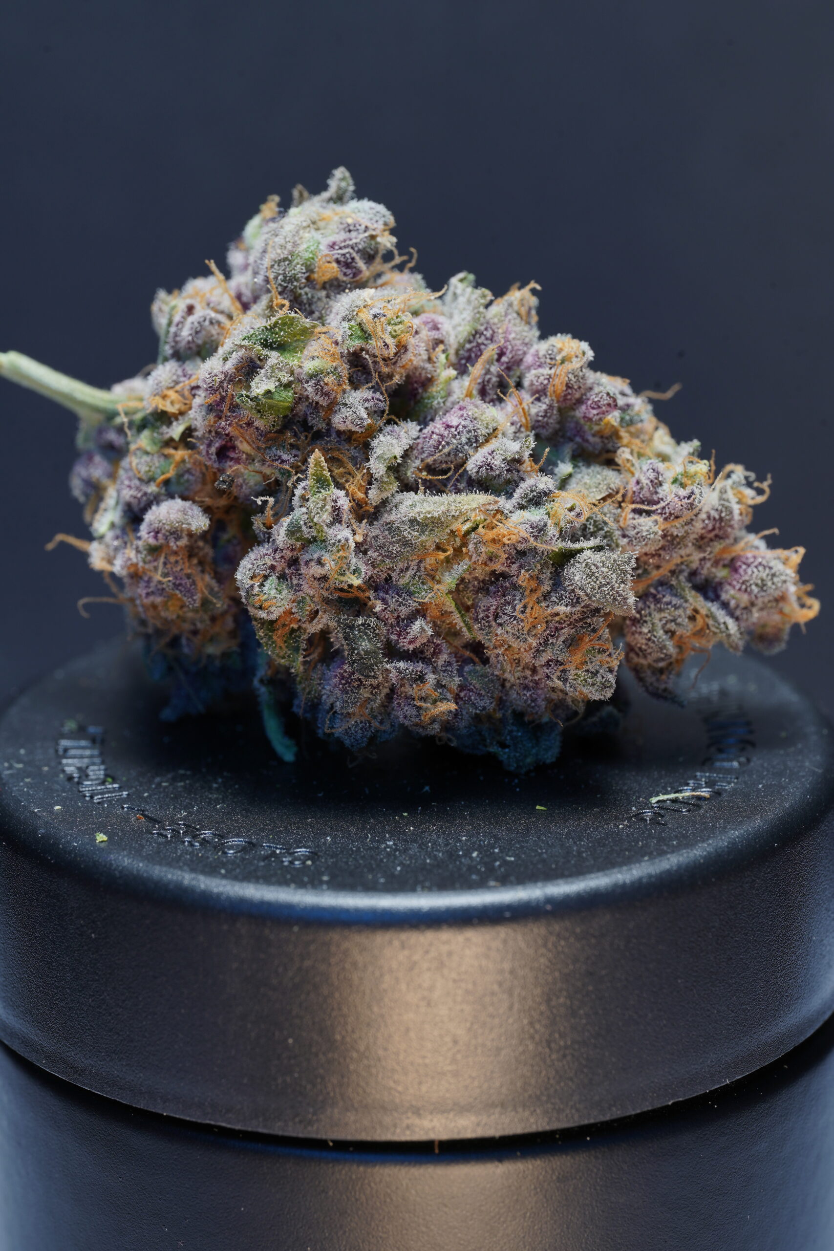 Roman Brothers Roman's Candy Apple cannabis at The Canna Bar
